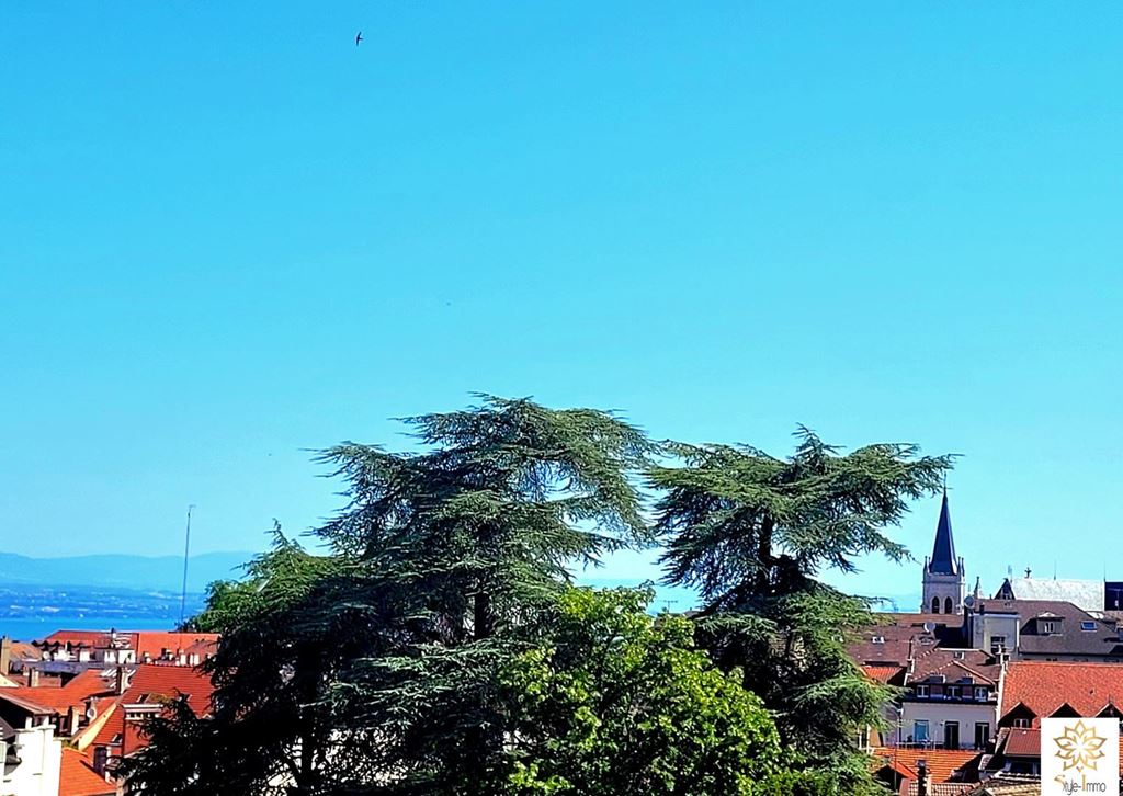 Appartement T1 bis THONON LES BAINS 94900€ STYLE IMMO Appartement T1 bis THONON LES BAINS 94900€ STYLE IMMO